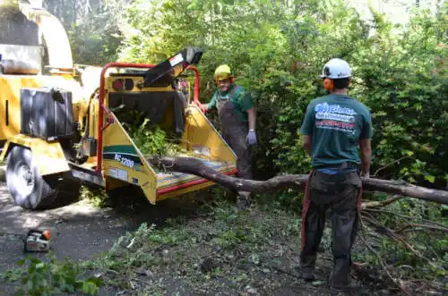 tree services Midway